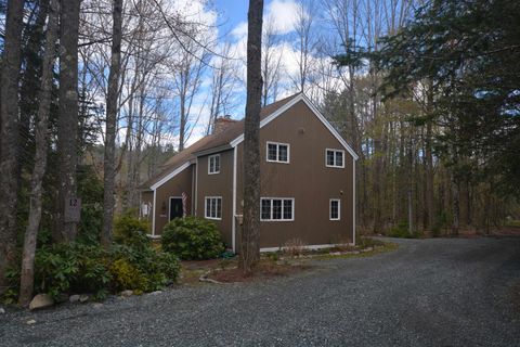 Photo of 12 Old Spring Drive, Grantham, NH 03753 (MLS # 5089056)