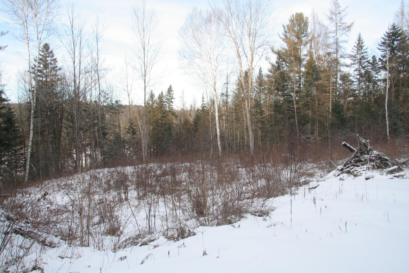 3288 Pinkham Road Lot 2B