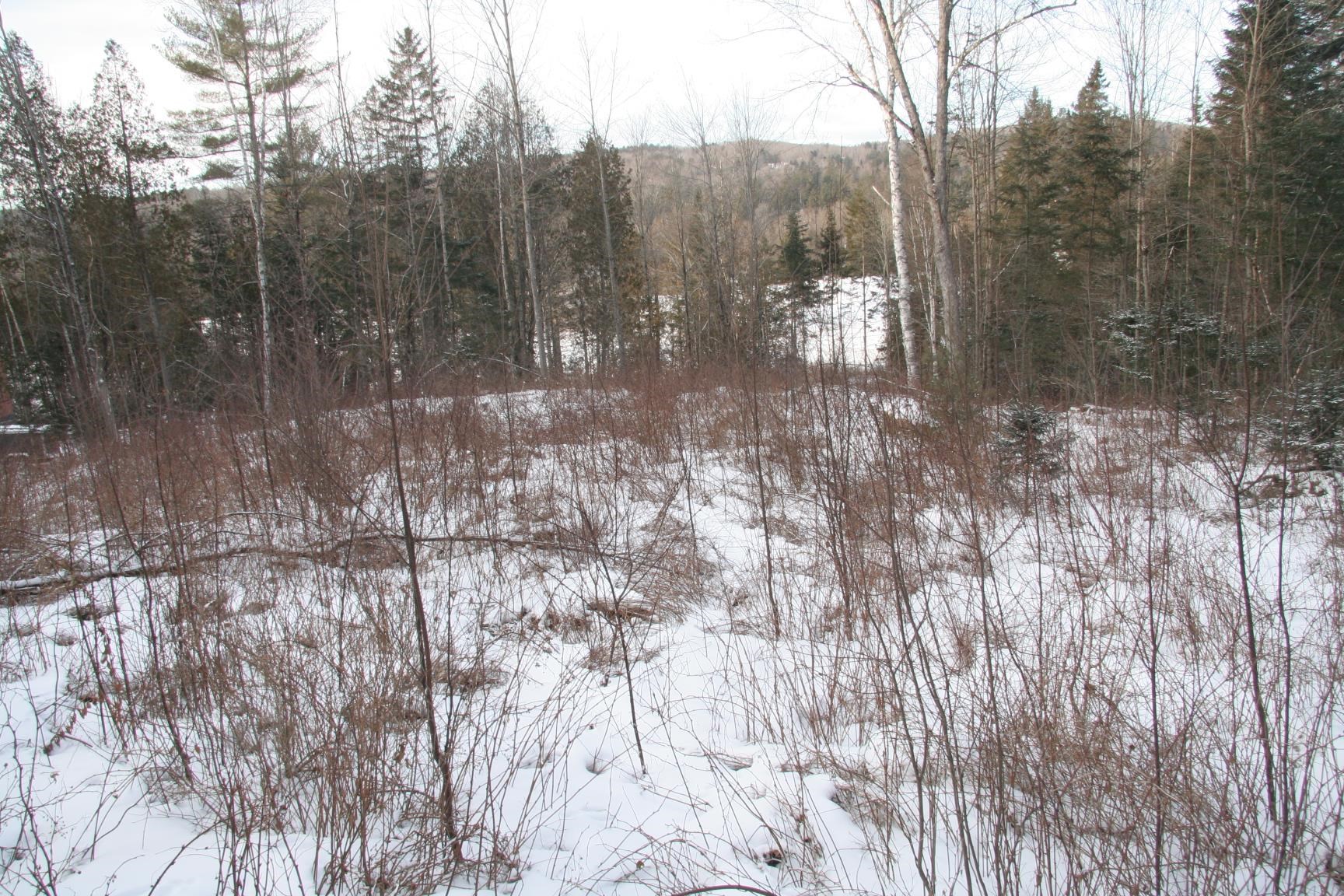 3288 Pinkham Road Lot 2B