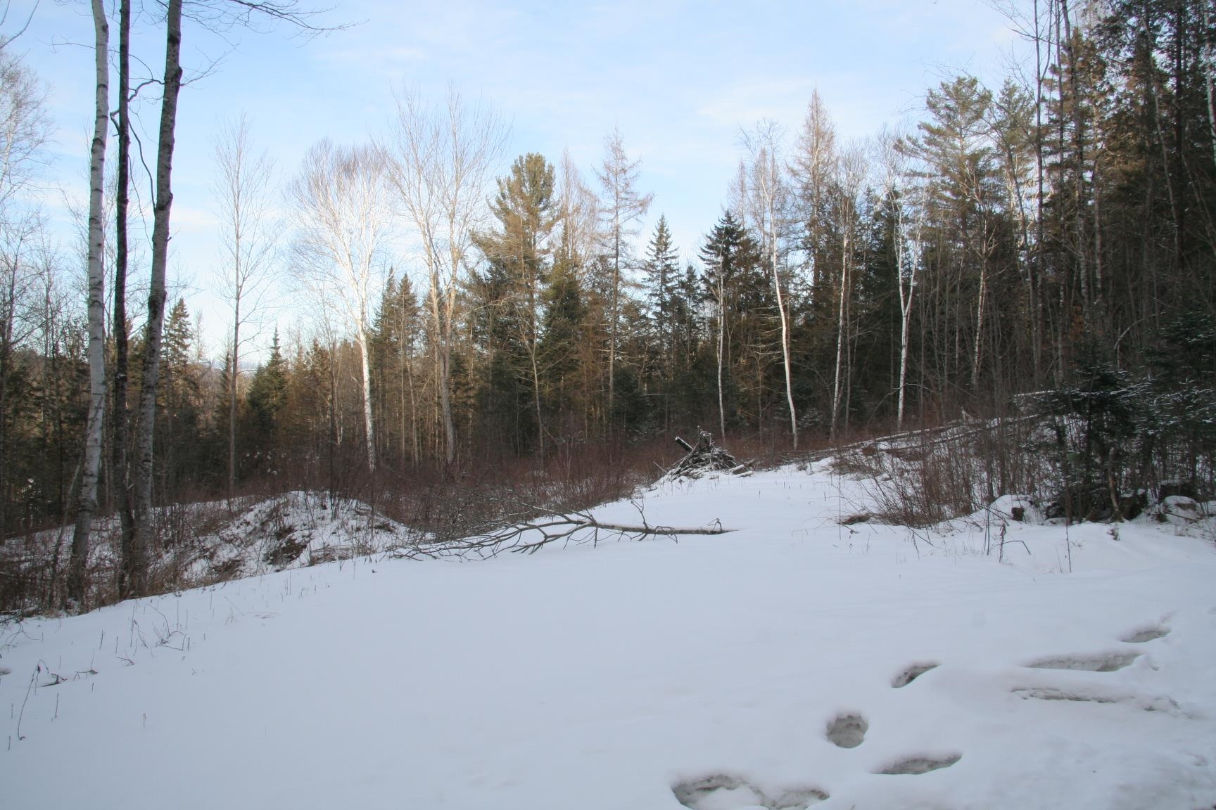 3288 Pinkham Road Lot 2B
