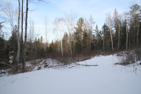 3288 Pinkham Road Lot 2B Burke VT 05832