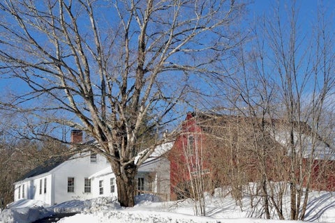 Featured picture for the property 4980184
