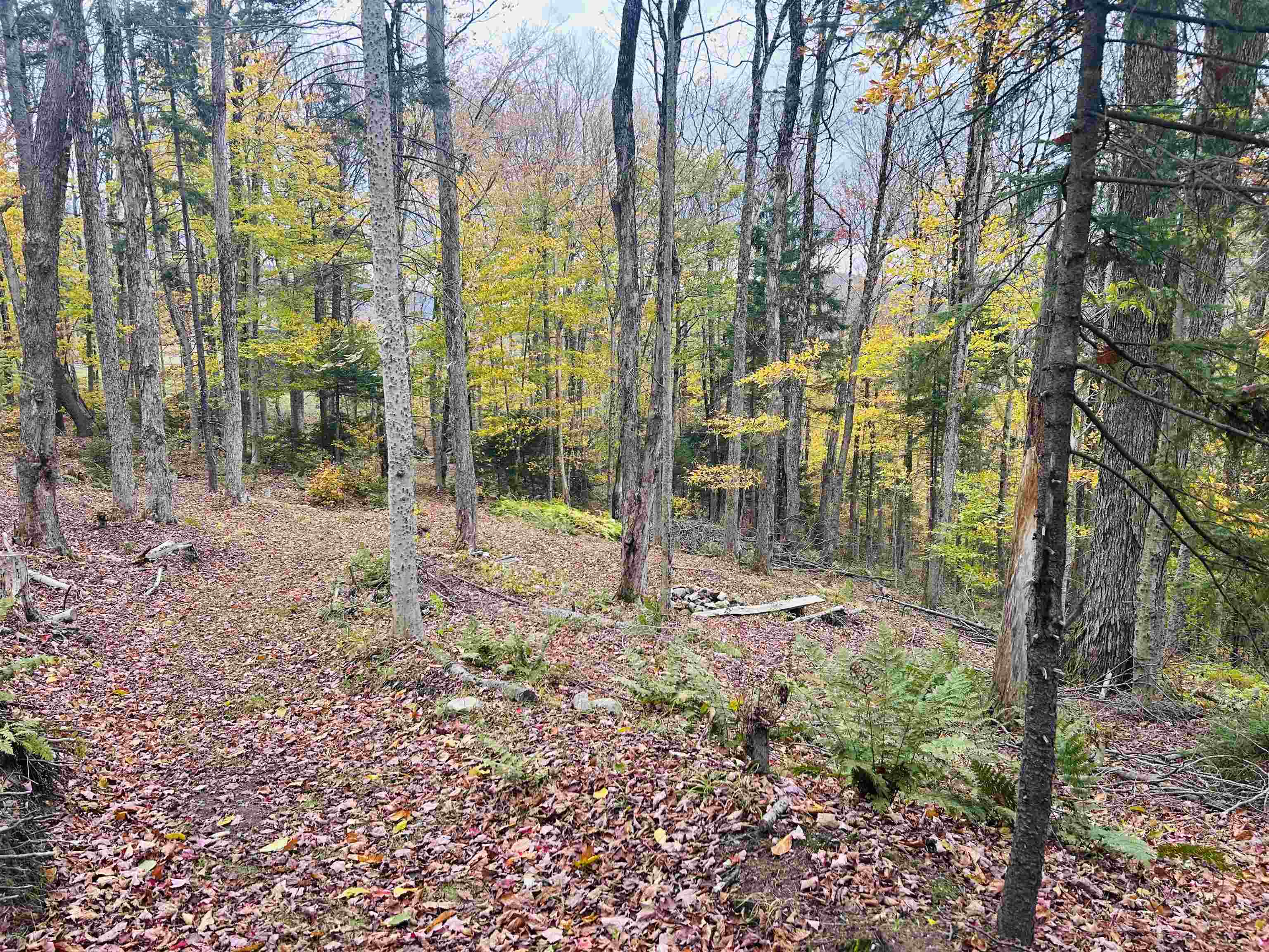 00 Bergrucken Lane 119-120