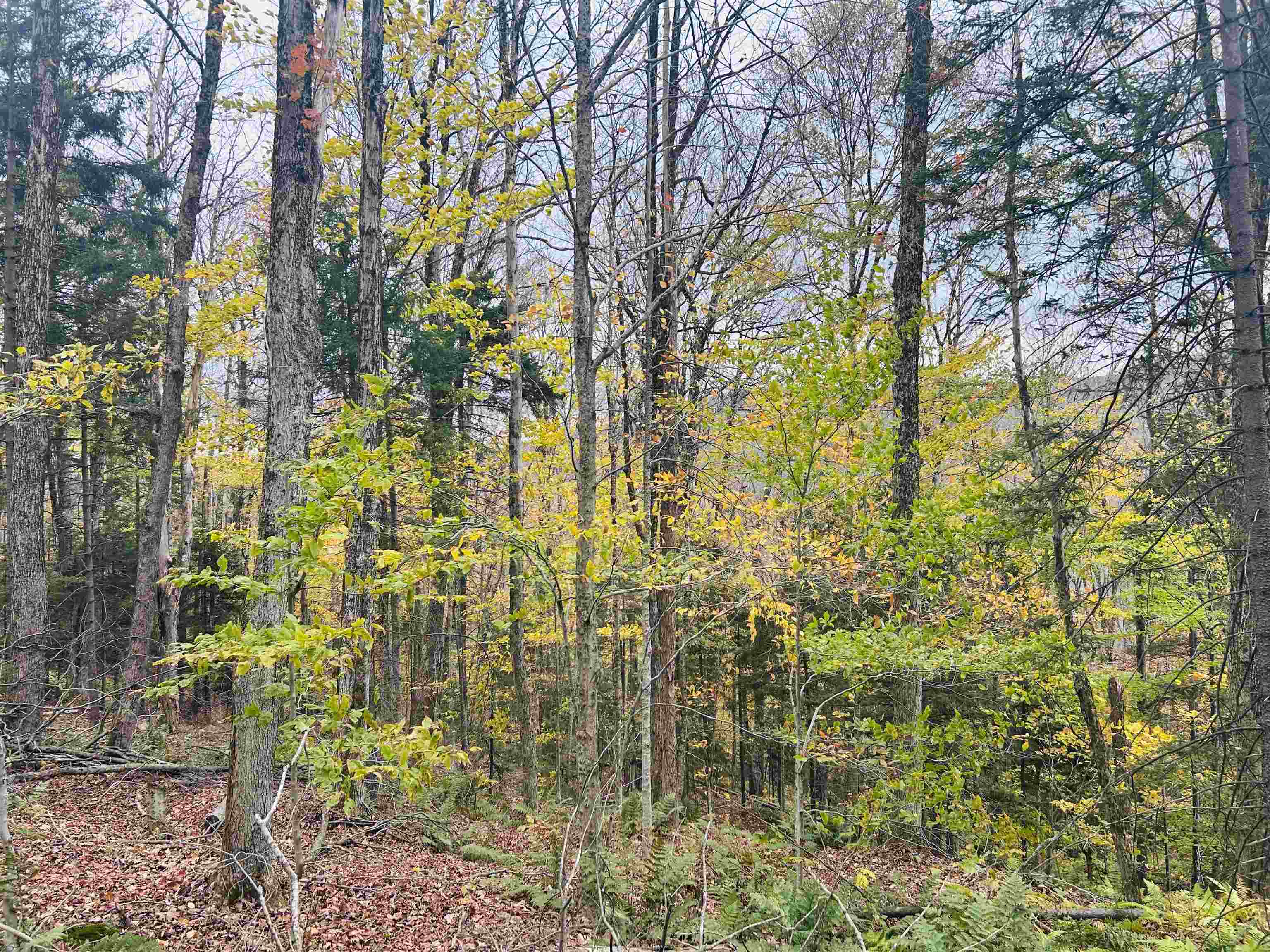 00 Bergrucken Lane 119-120