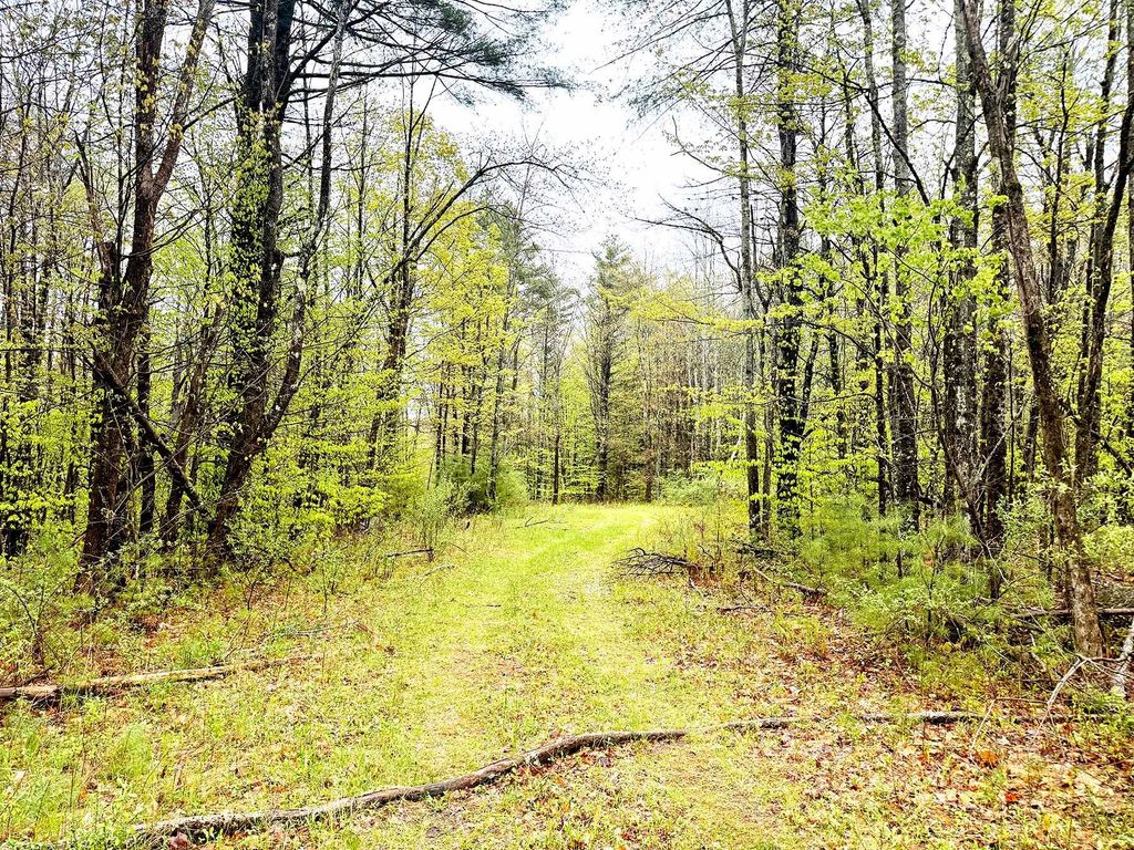 Photo of 547 White Oaks Road, Laconia, NH 03246 (MLS # 5089223)