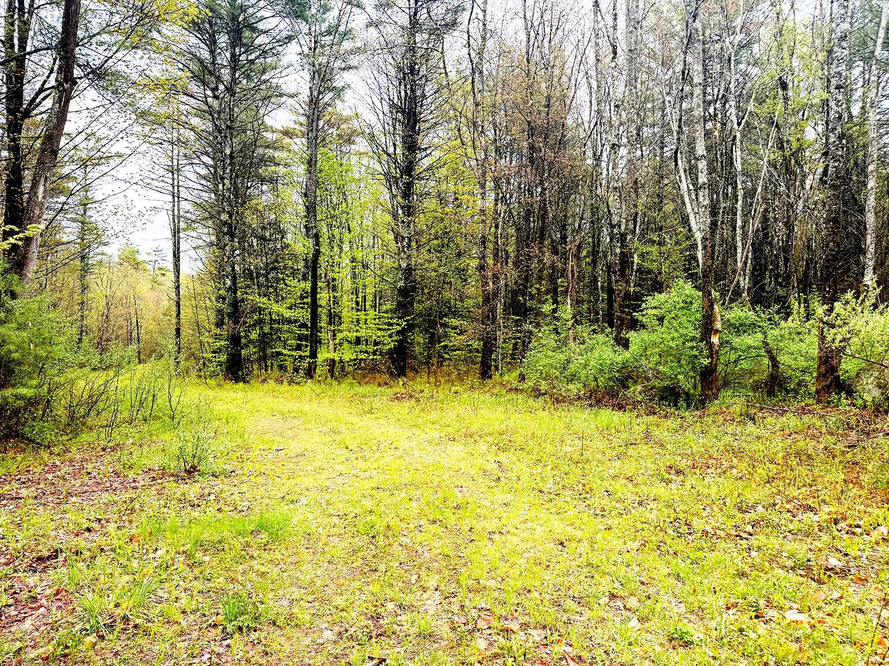 547 White Oaks Road