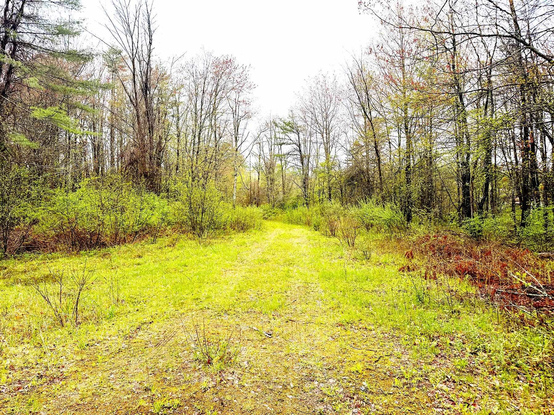 547 White Oaks Road