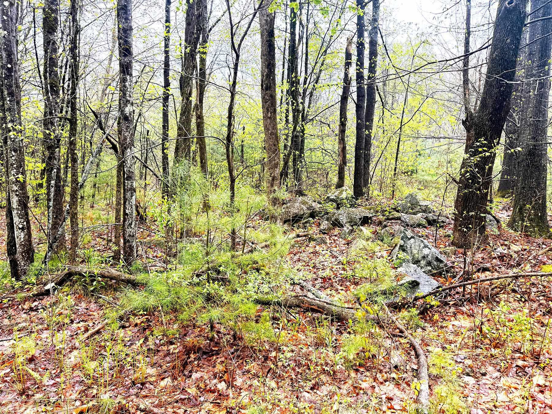 547 White Oaks Road