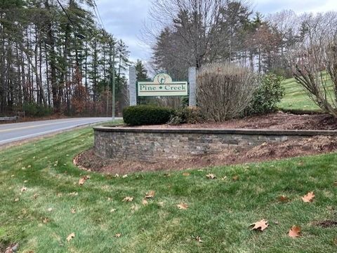 29 Watts Landing 24 Litchfield NH 03052