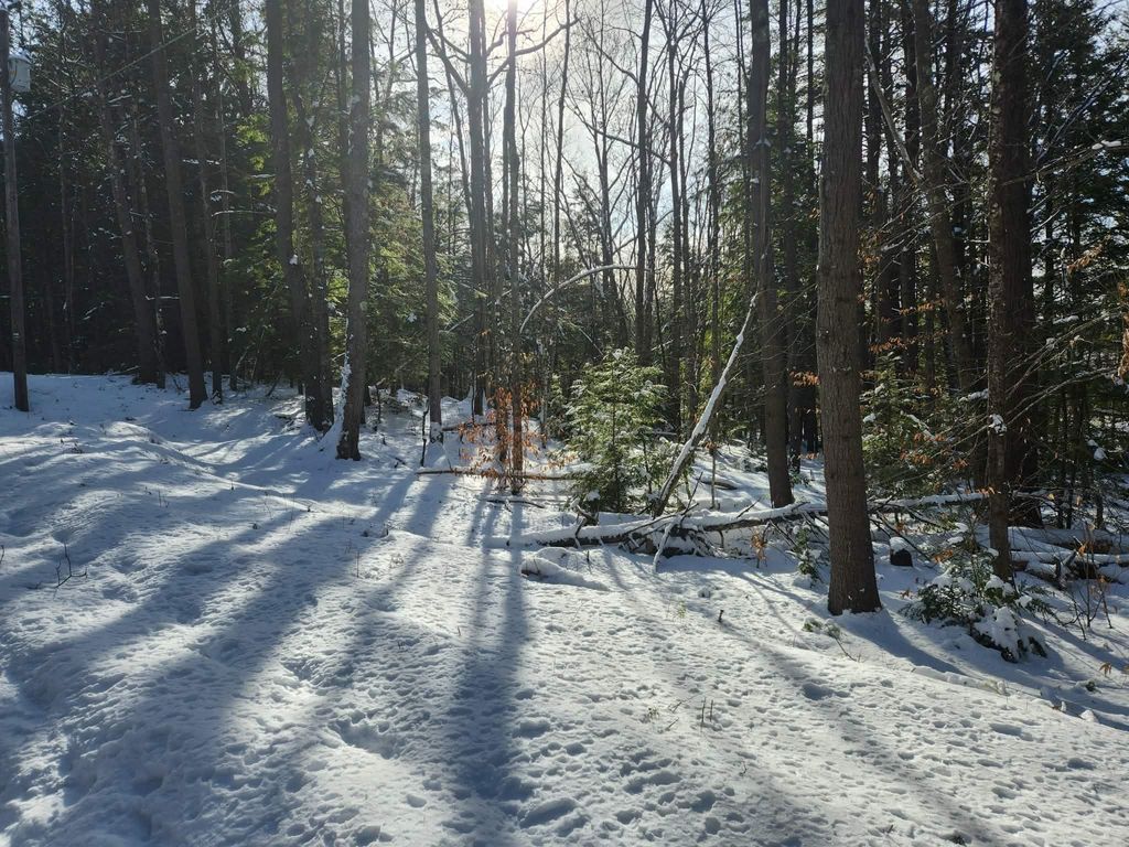 Photo of 11 cedar Drive #130 lot 11, Gilmanton, NH 03237 (MLS # 5074573)