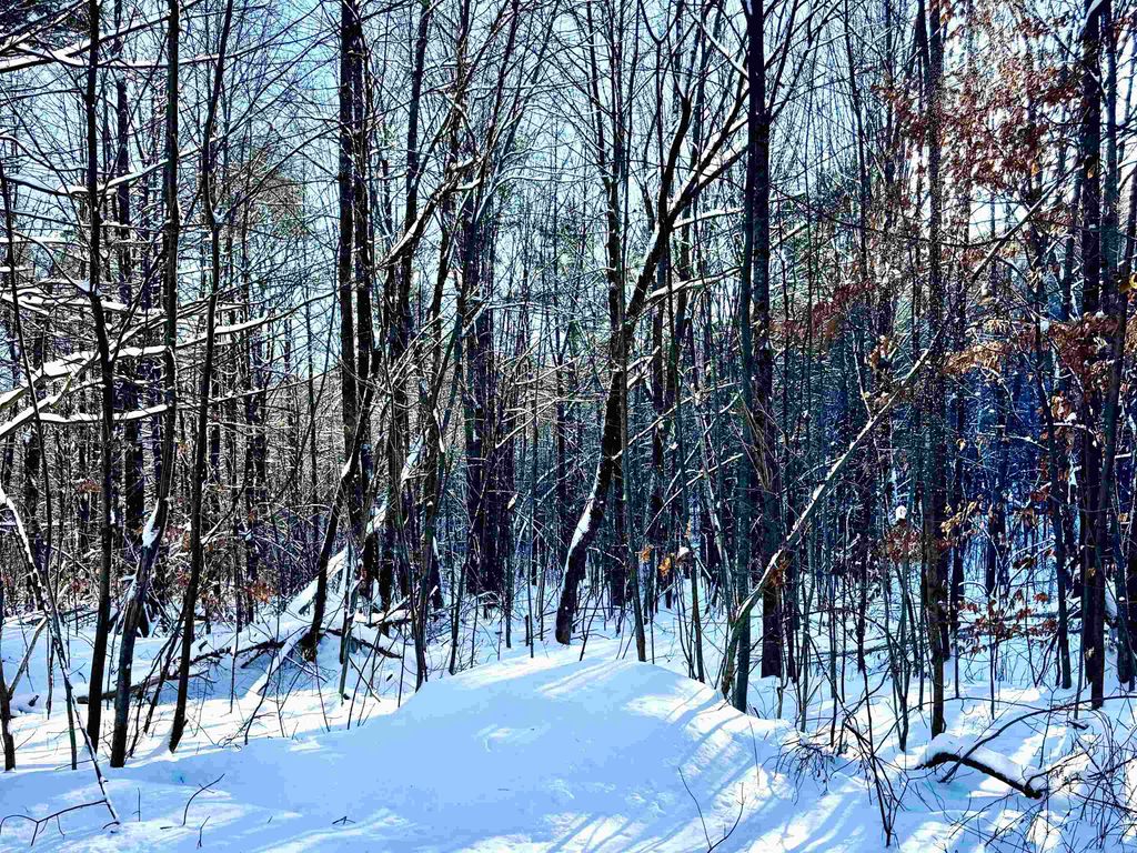 Photo of US Route 302 #1,2, Bartlett, NH 03812 (MLS # 5003976)