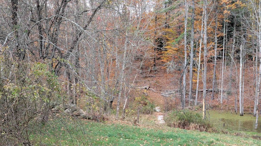 Photo of 281 Hodgdon Road, Weare, NH 03281 (MLS # 5067839)