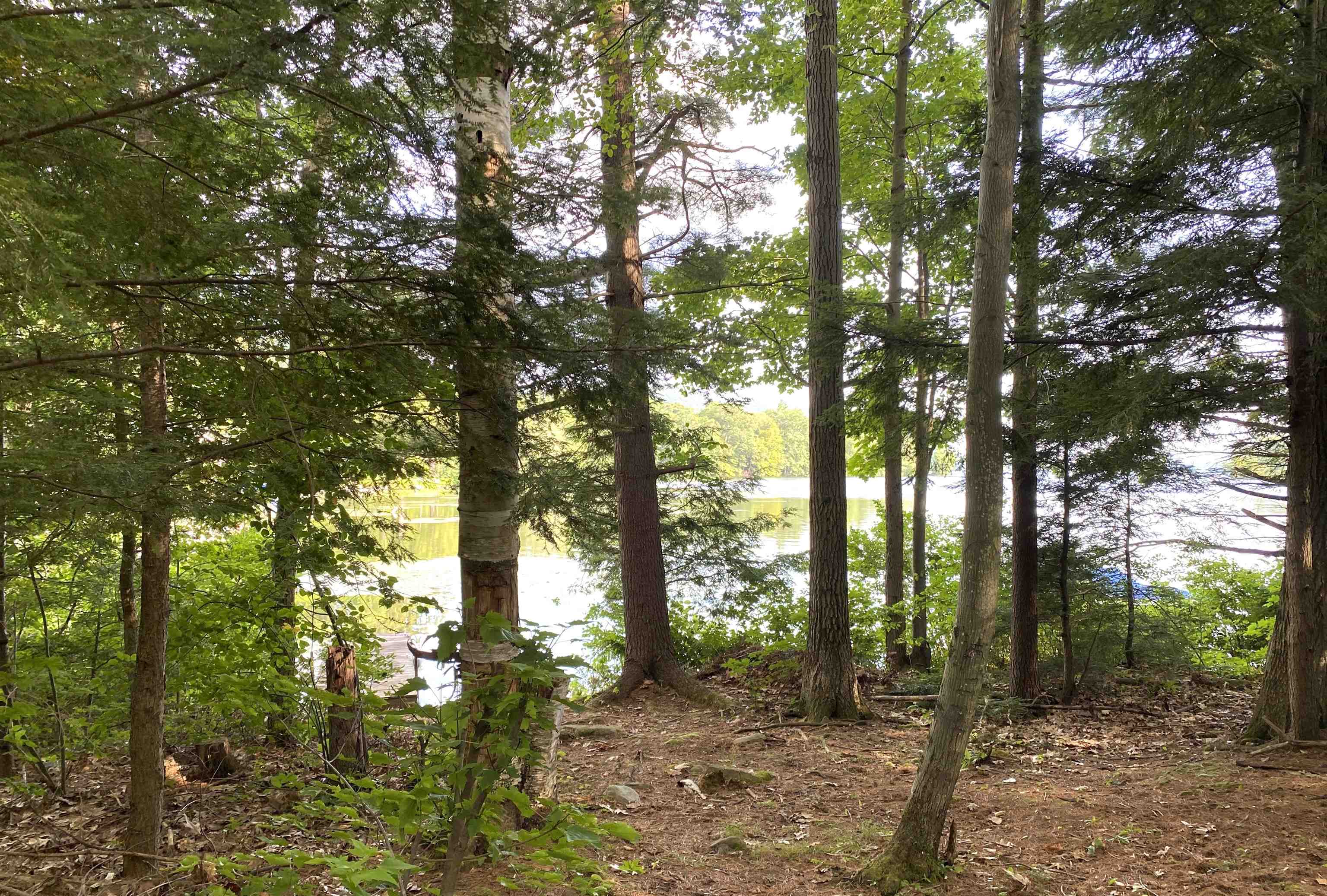 Salisbury, Vermont 05769, United States, 2 Bedrooms Bedrooms, ,1 BathroomBathrooms,Residential,Active,184335