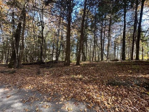 184 Dupre Drive Guilford VT 05301