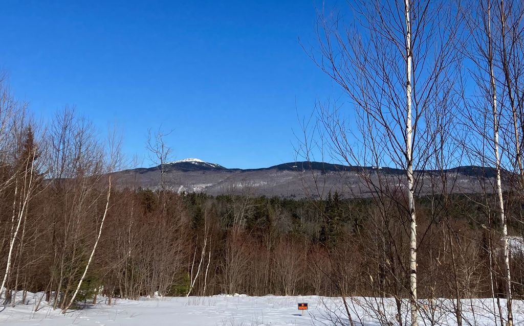 Photo of 414 Turnpike Road, Grafton, NH 03240 (MLS # 5075358)