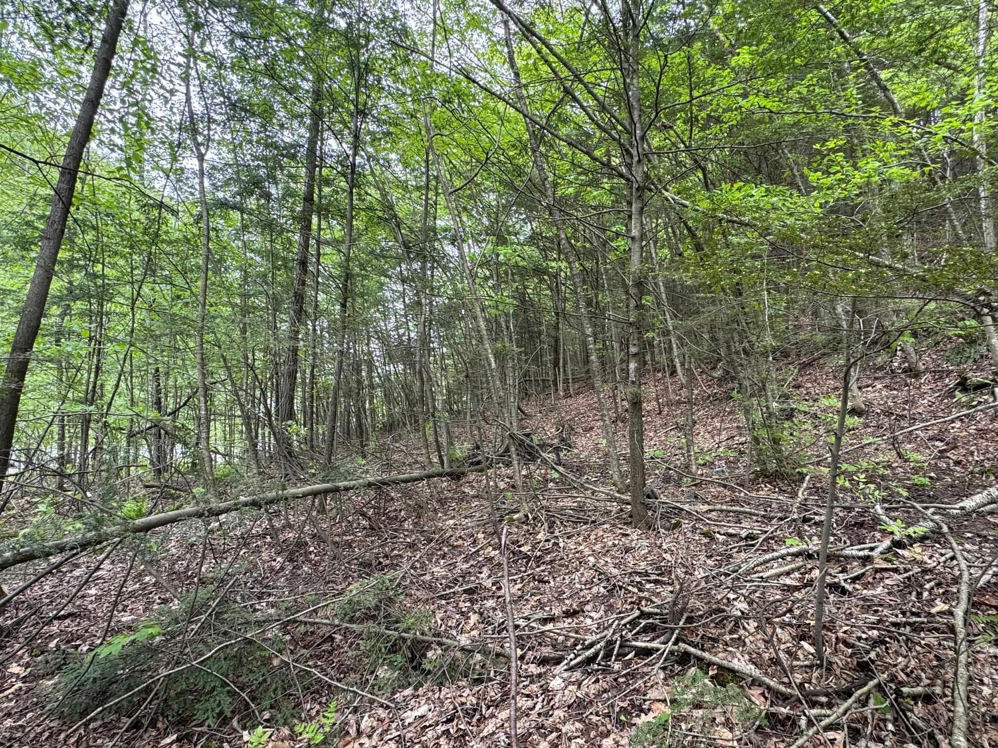 48 Northfield Street Lot 1