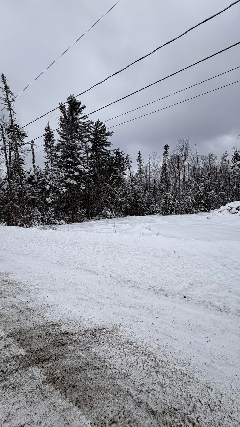 Photo of 7 James Street, Bethlehem, NH 03574 (MLS # 5076365)