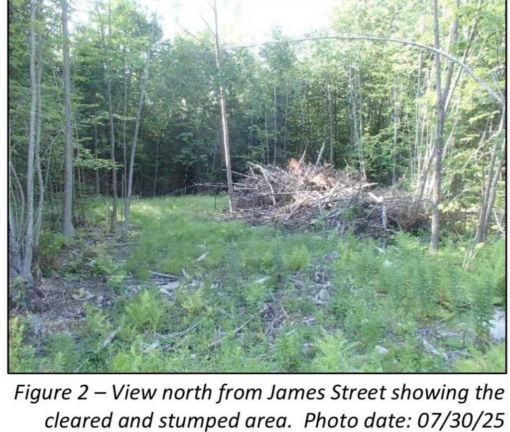 Photo of 7 James Street, Bethlehem, NH 03574 (MLS # 5076365)