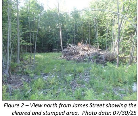 7 James Street Bethlehem NH 03574