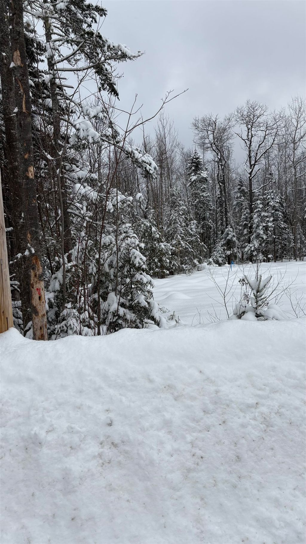 Photo of 7 James Street, Bethlehem, NH 03574 (MLS # 5076365)