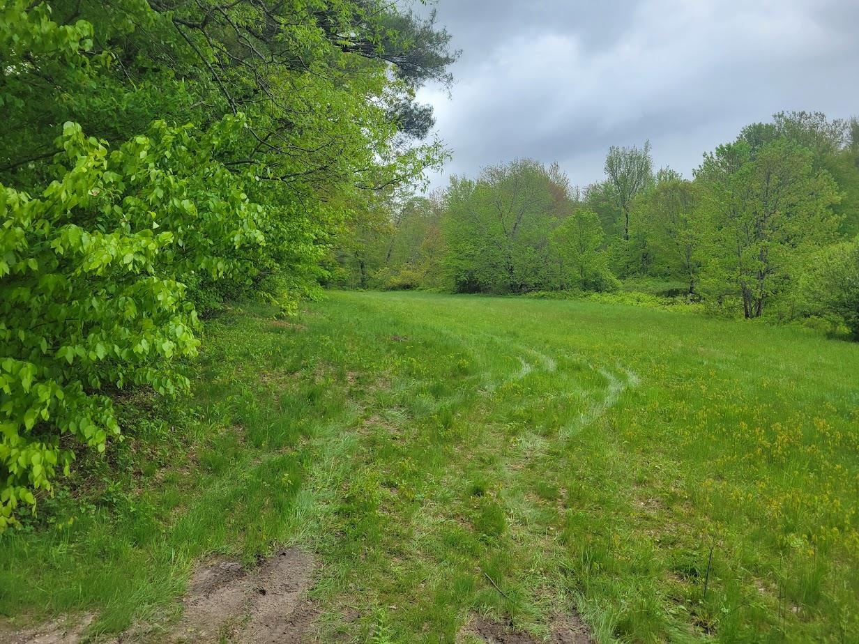 Danbury, New Hampshire 03230, United States, ,Land,Active,139457