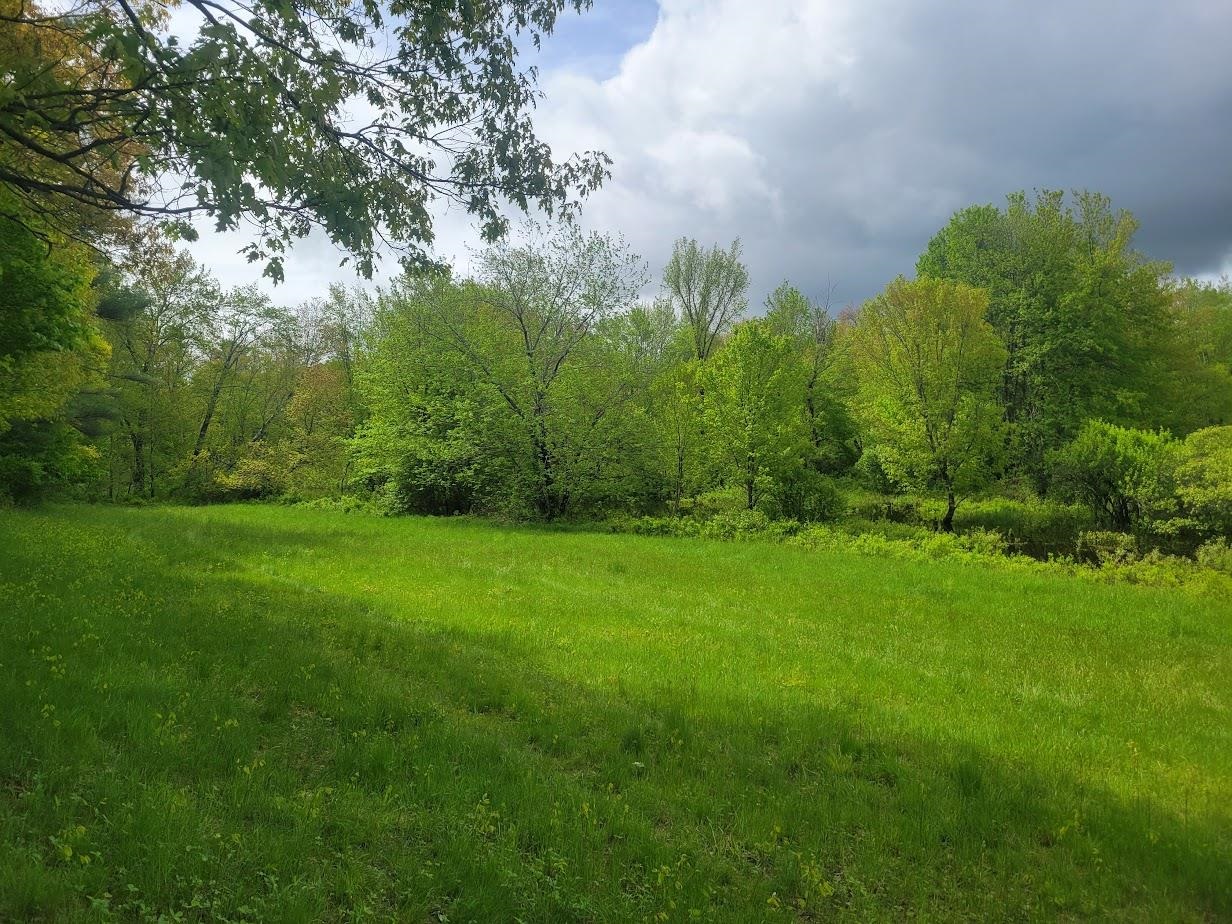 Danbury, New Hampshire 03230, United States, ,Land,Active,139457