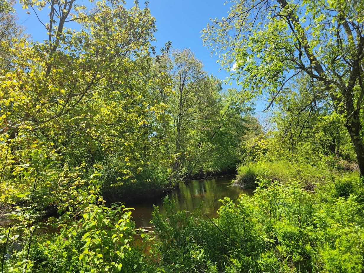 Danbury, New Hampshire 03230, United States, ,Land,Active,139457