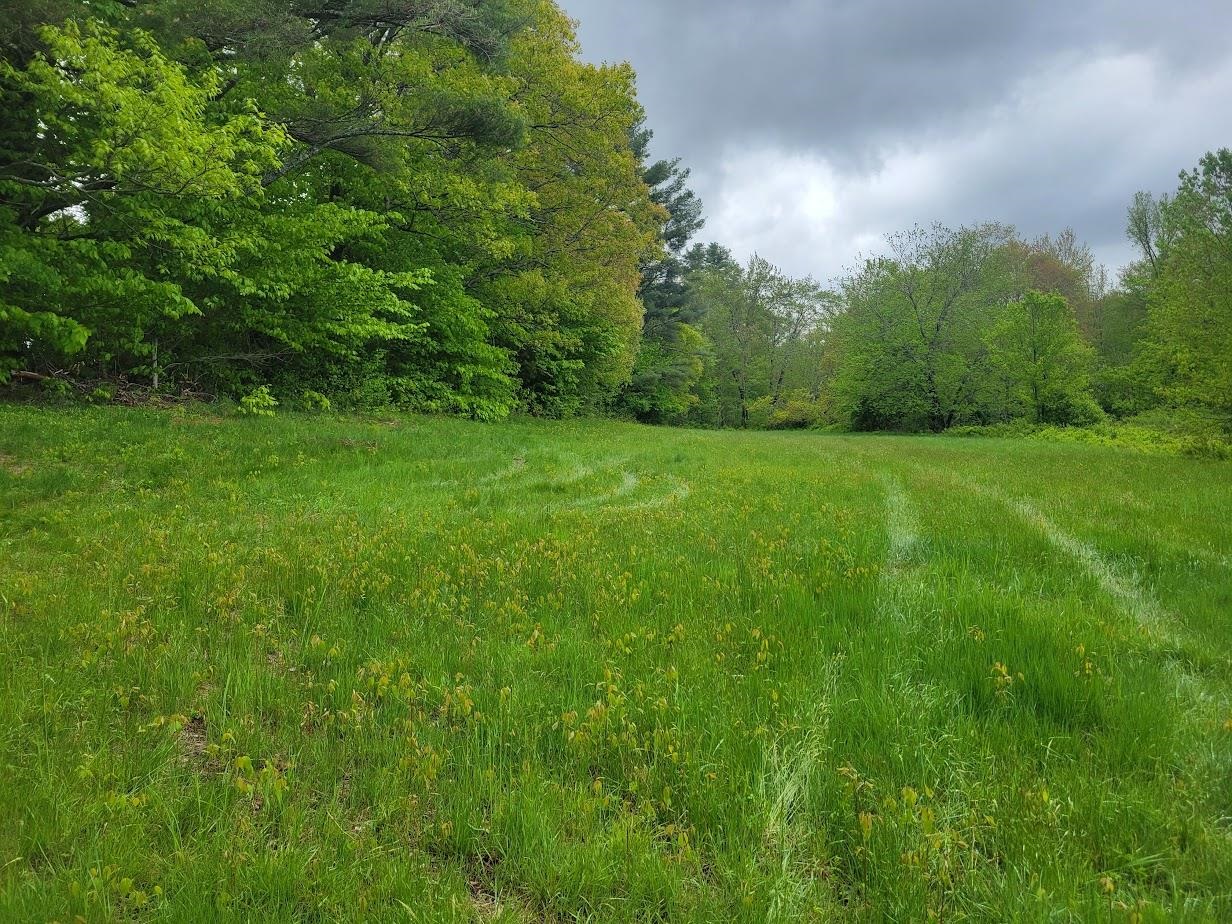 Danbury, New Hampshire 03230, United States, ,Land,Active,139457