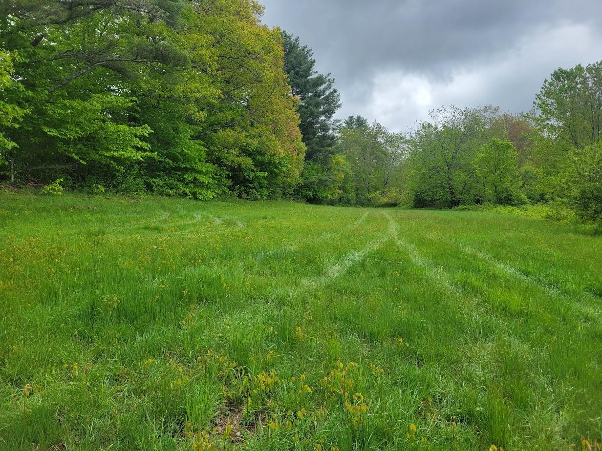 Danbury, New Hampshire 03230, United States, ,Land,Active,139457