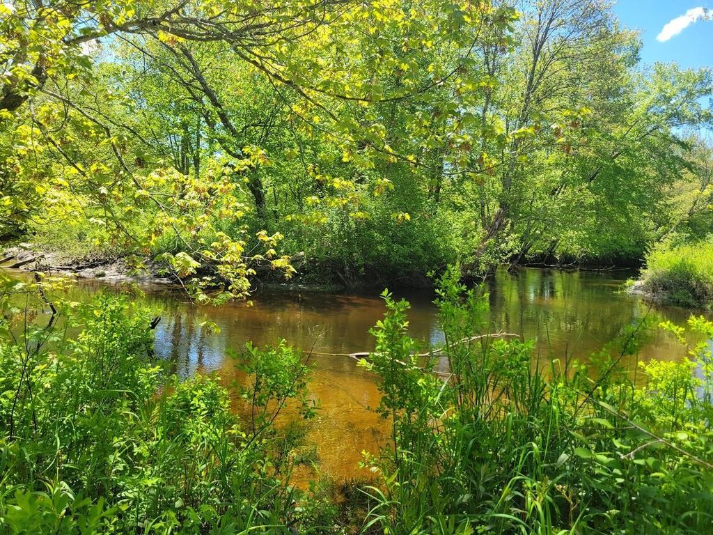Photo of 91 Eastern District Road, Danbury, NH 03230 (MLS # 5042399)