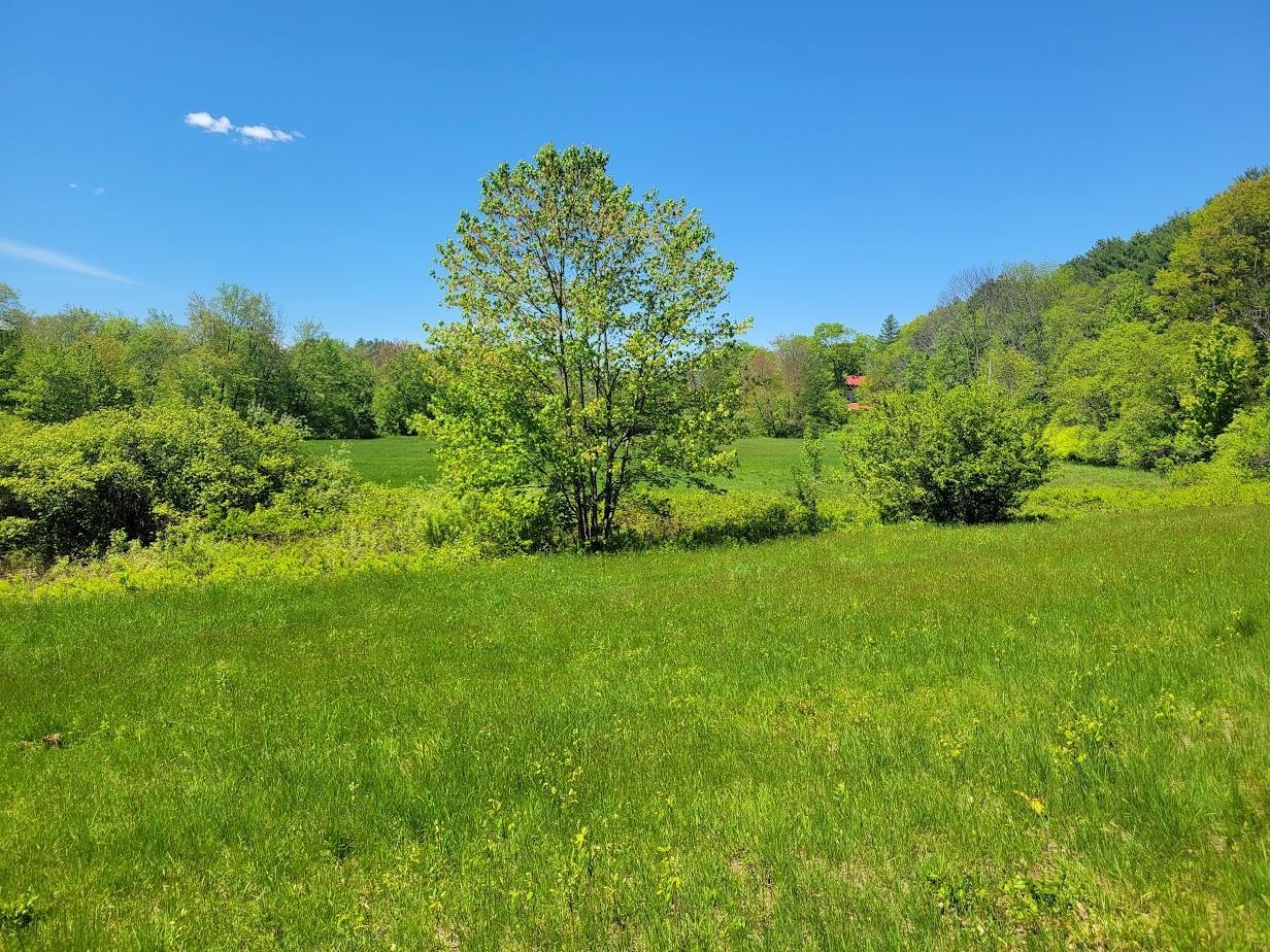 Danbury, New Hampshire 03230, United States, ,Land,Active,139457