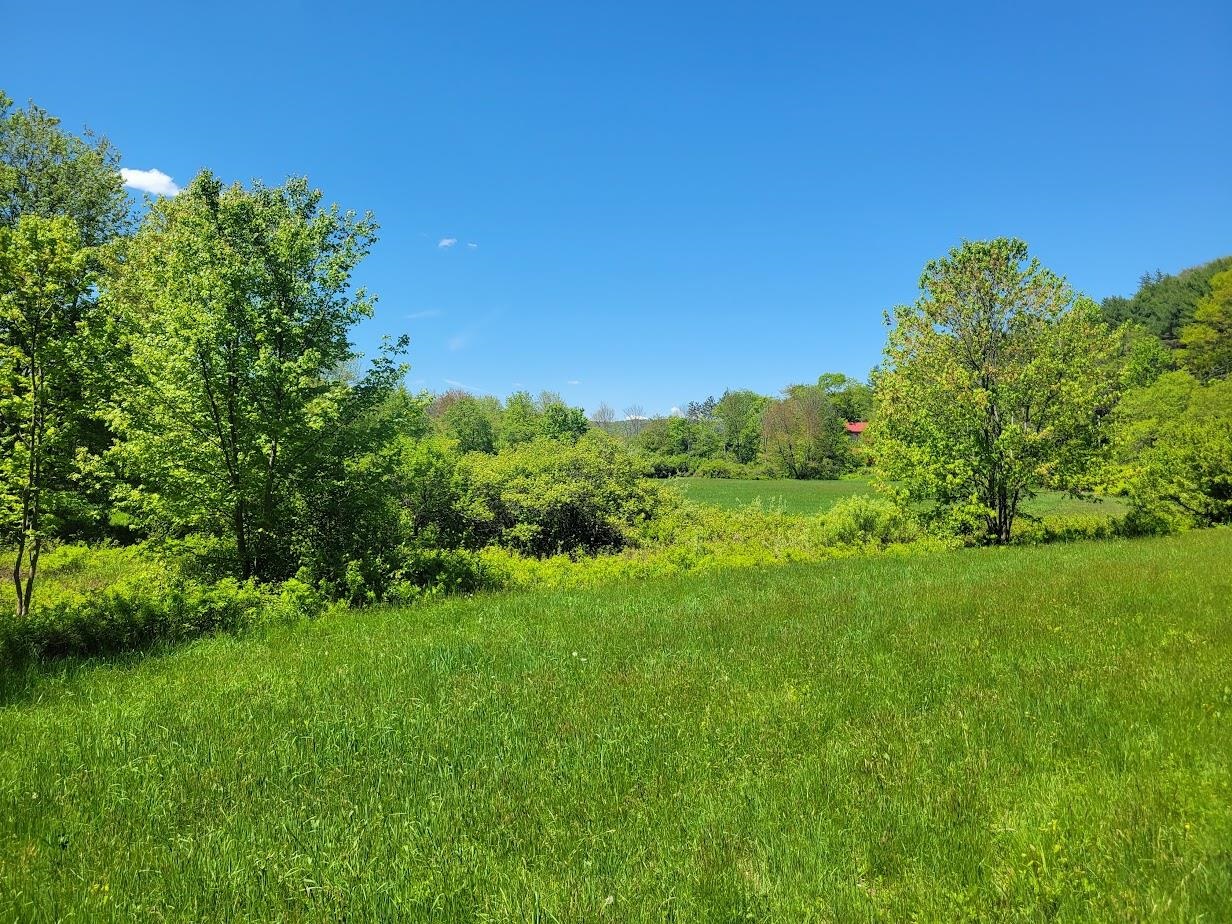Lot91 Eastern District Road