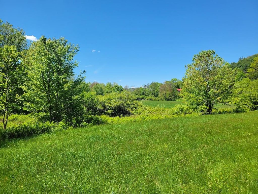 Photo of 91 Eastern District Road, Danbury, NH 03230 (MLS # 5042399)