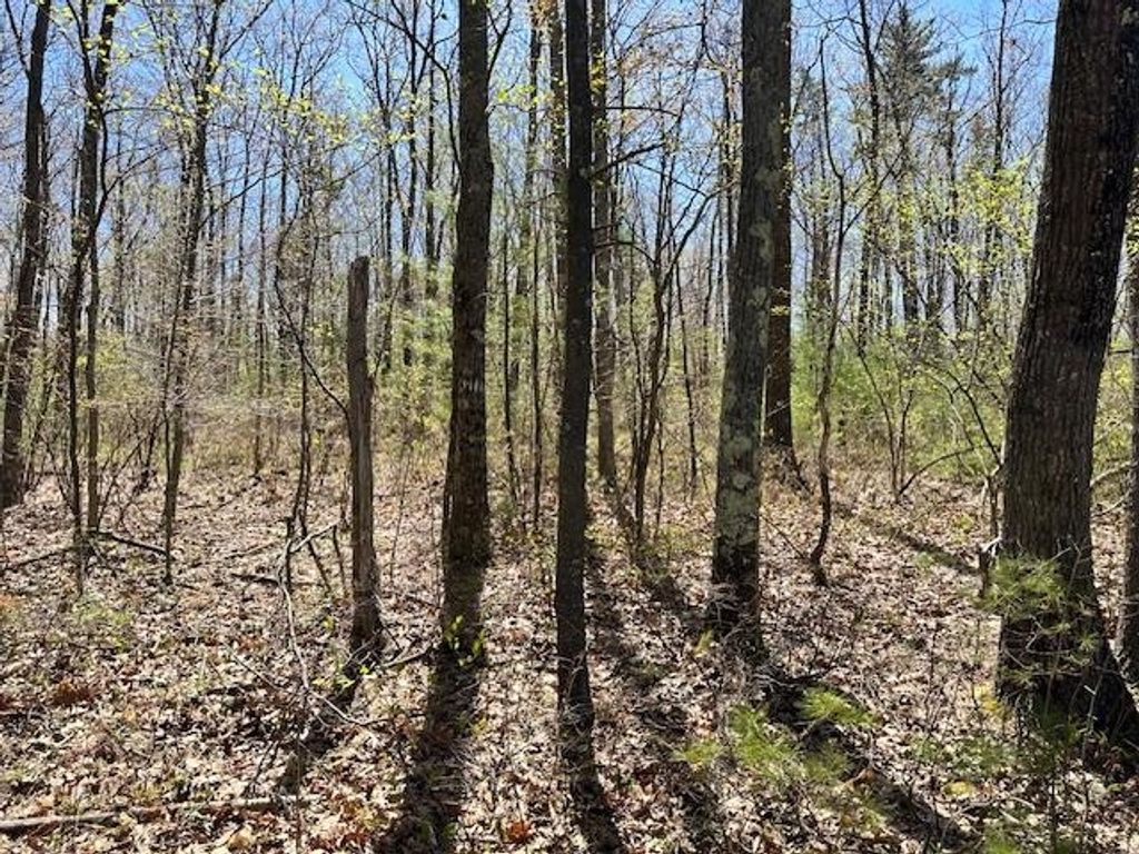 Photo of 15 South Bow Dunbarton Road #40-A, Bow, NH 03304 (MLS # 5039113)