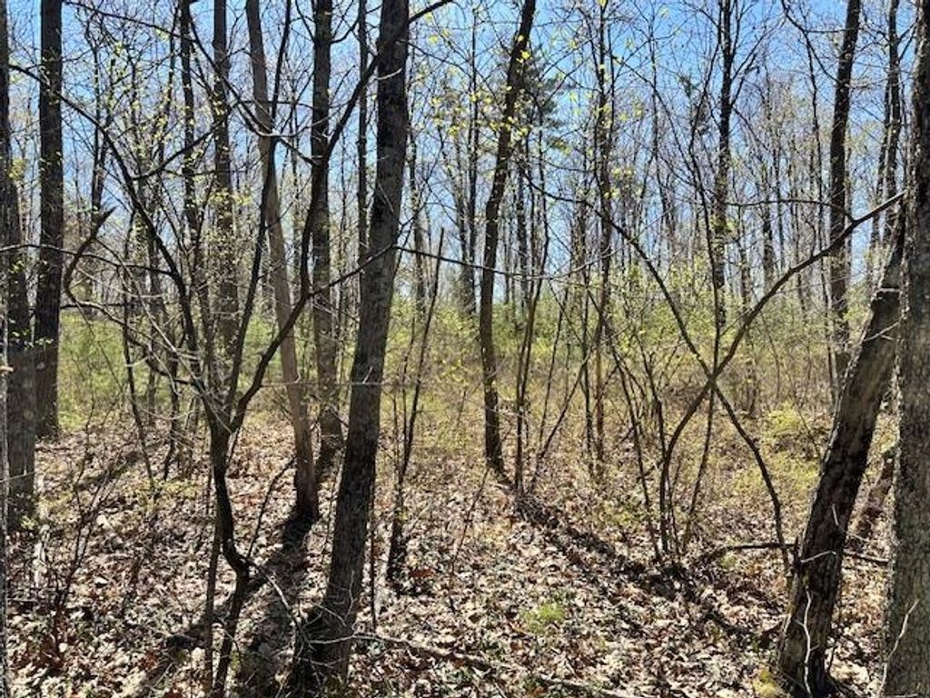Photo of 15 South Bow Dunbarton Road #40-A, Bow, NH 03304 (MLS # 5039113)