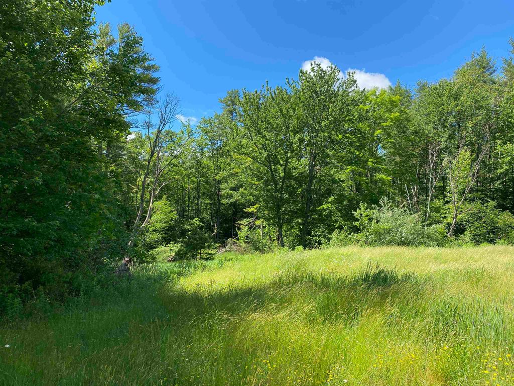 Photo of 18 Catamount Road, Pittsfield, NH 03263 (MLS # 5076220)
