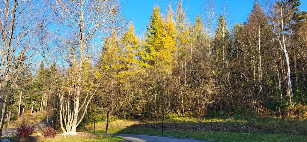 Photo of 4 Pierre Road, Stewartstown, NH 03597 (MLS # 5078869)