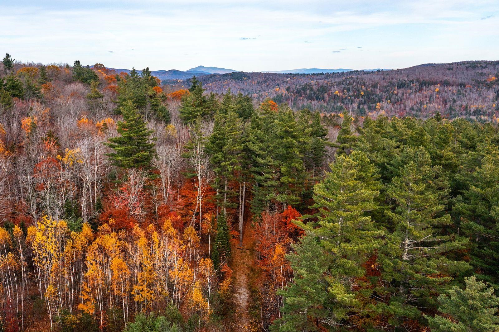 590 Howard Hill Road