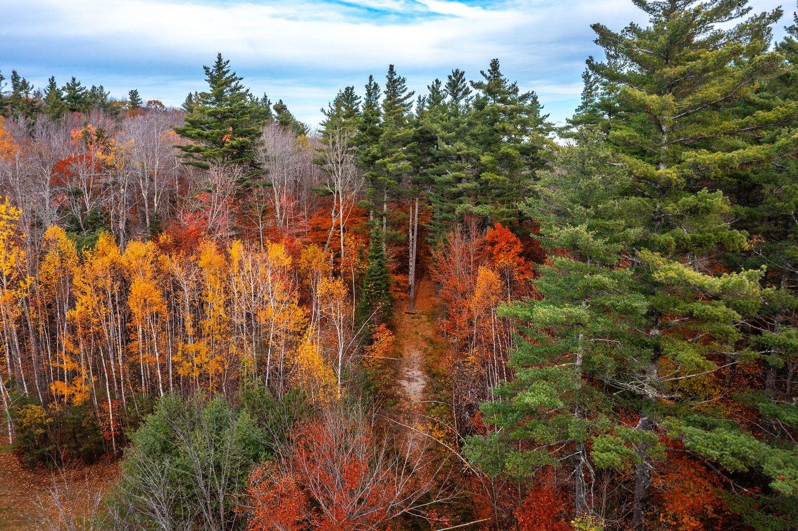 590 Howard Hill Road