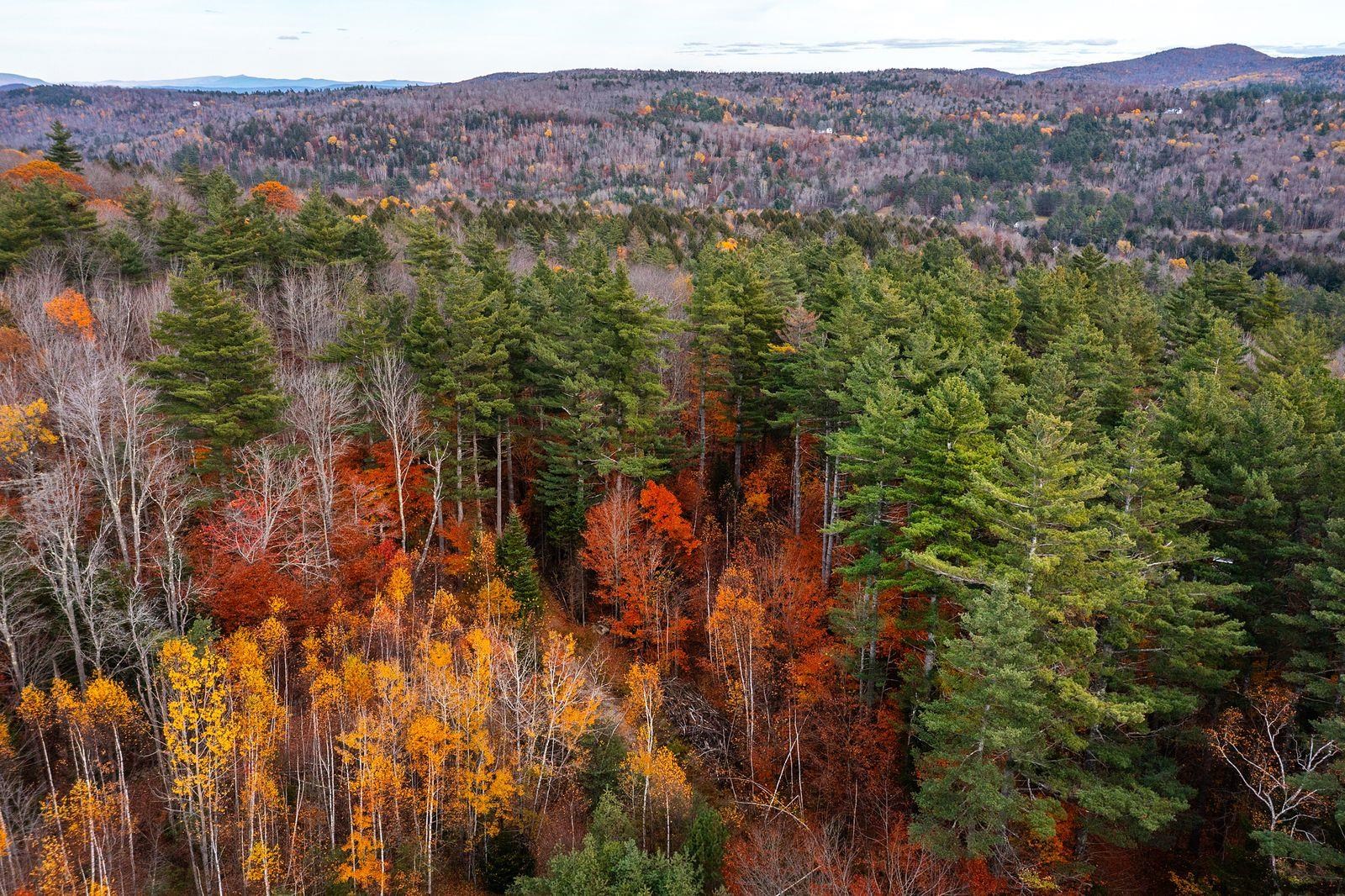 590 Howard Hill Road