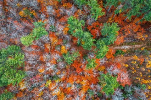 590 Howard Hill Road Londonderry VT 05148