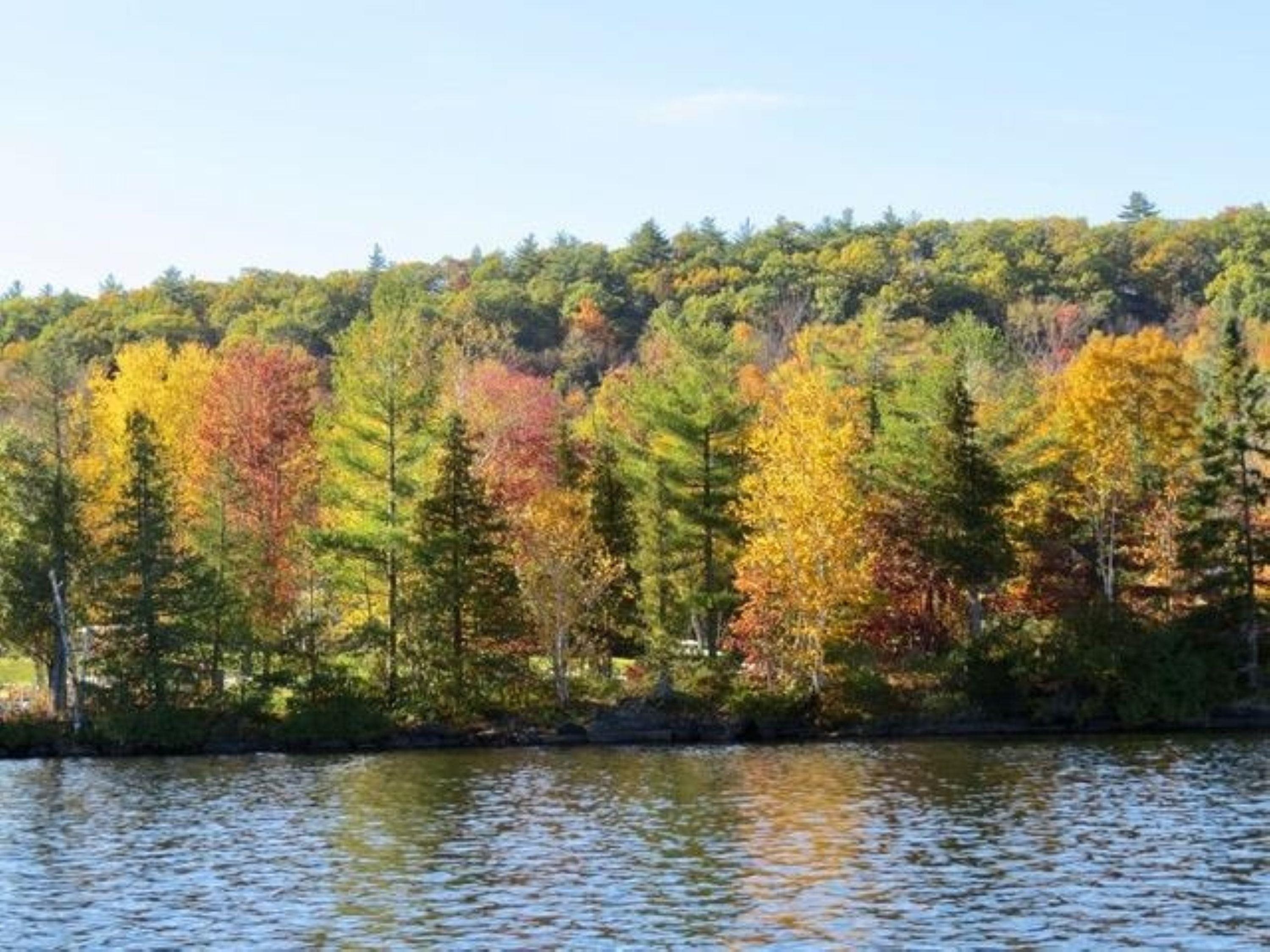 Salisbury, Vermont 05769, United States, 2 Bedrooms Bedrooms, ,1 BathroomBathrooms,Residential,Active,133064