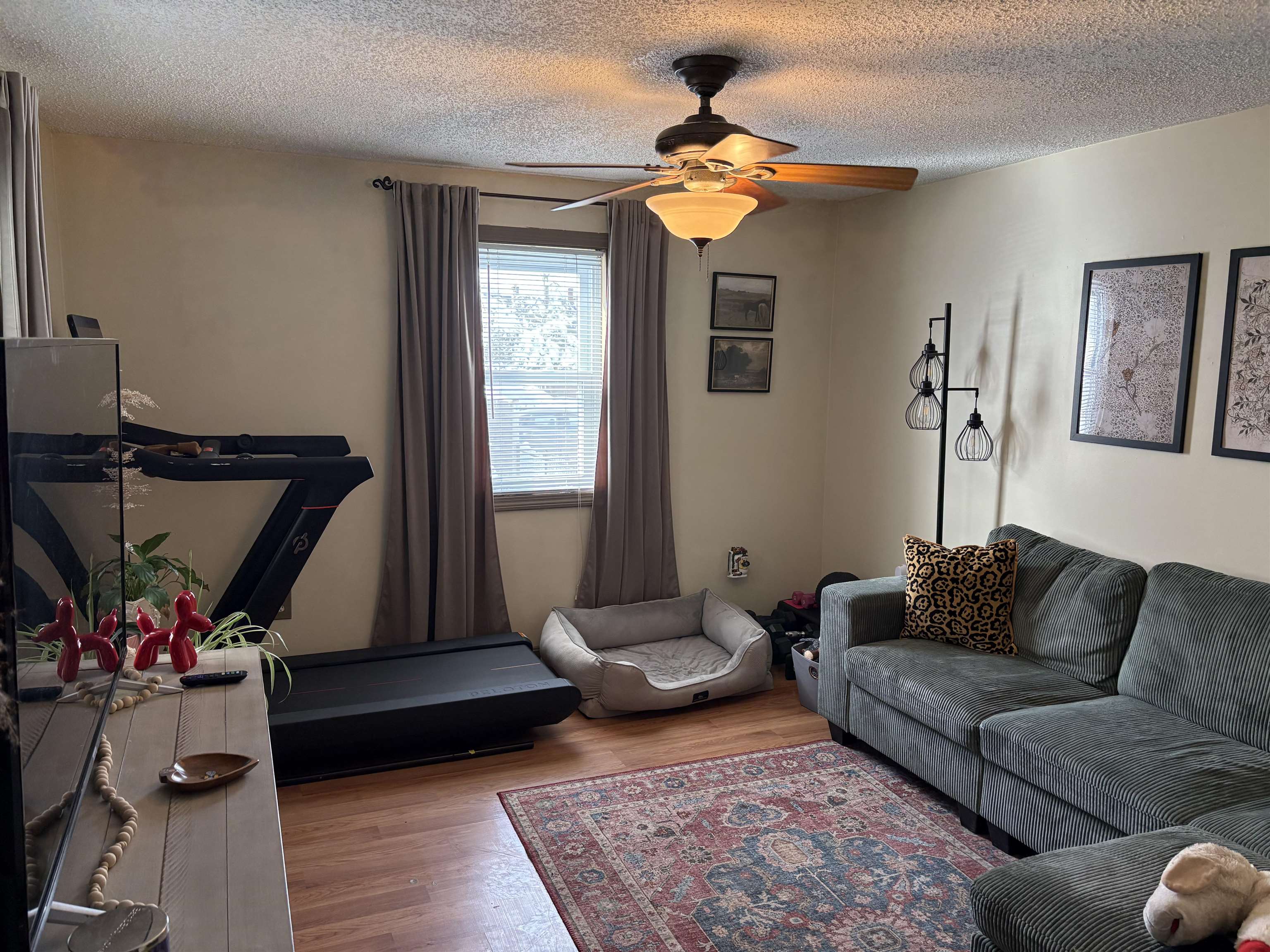 7-9 Myrtle Street 7-9