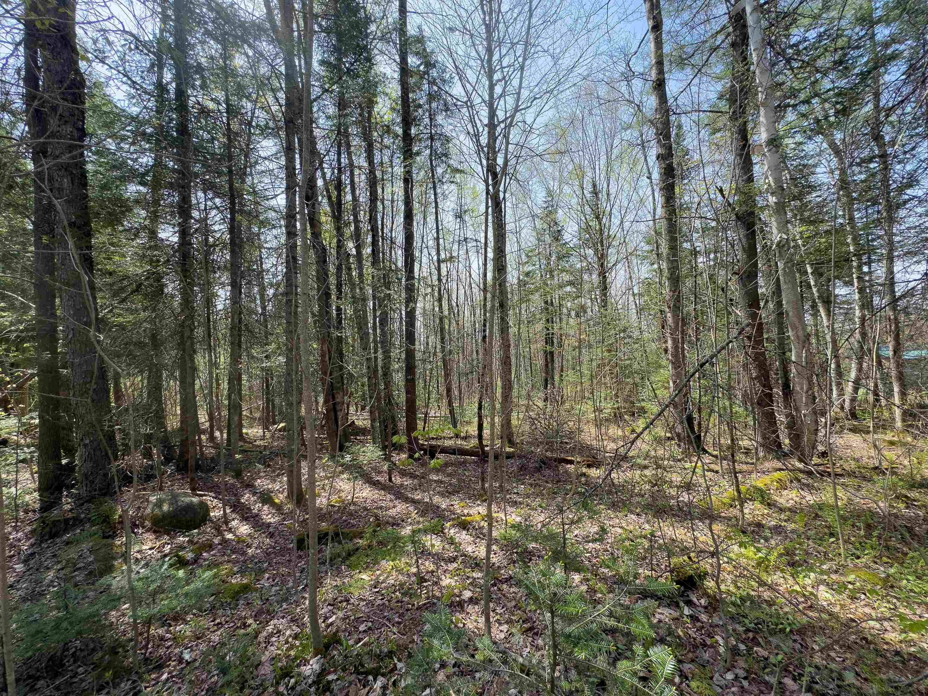 Lot 4 Oregon Road
