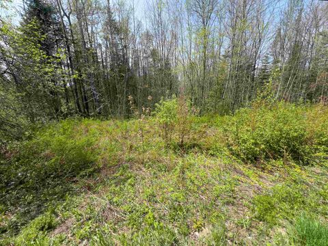 Lot 4 Oregon Road Concord VT 05824