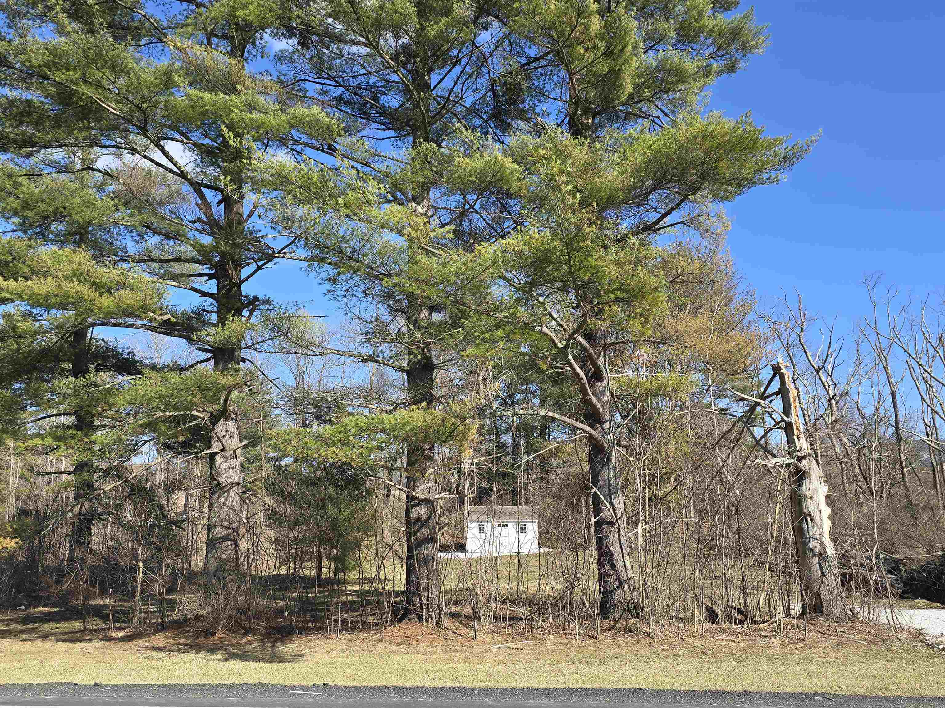 1460 Cold Spring Road