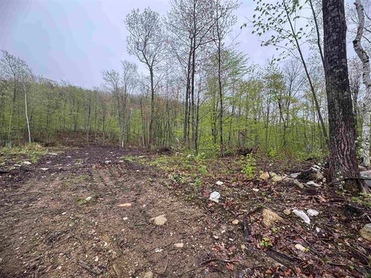 7 UPPER PLAINS RD, SALISBURY, VT 05769 - Image e0acbdea149e9355e53732fa3f8d4c8a/1388123184
