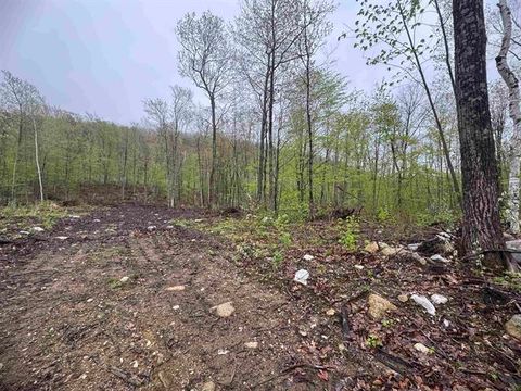 000 Upper Plains Road Salisbury VT 05769