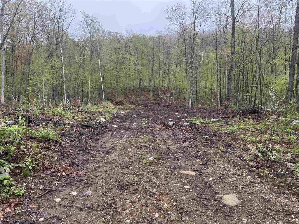 000 Upper Plains Road