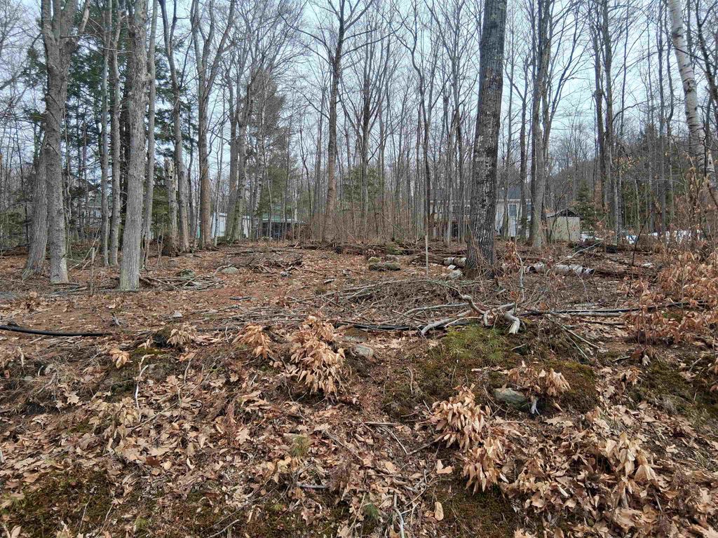 Photo of 60 Scott Drive, Alton, NH 03810 (MLS # 5081017)